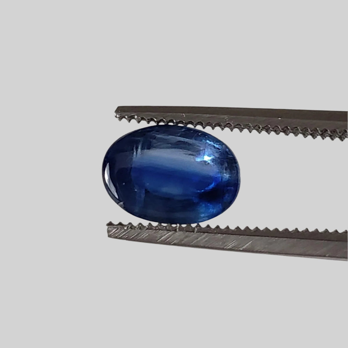  Kyanite | Oval Cabochon | Royal Blue | 7.7x5.5mm, 1.65ct | Nepal 1