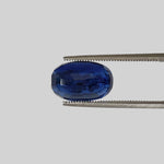  Kyanite | Oval Cut | Cornflower Blue | 12.4x7.9mm 5.6ct | Nepal 1