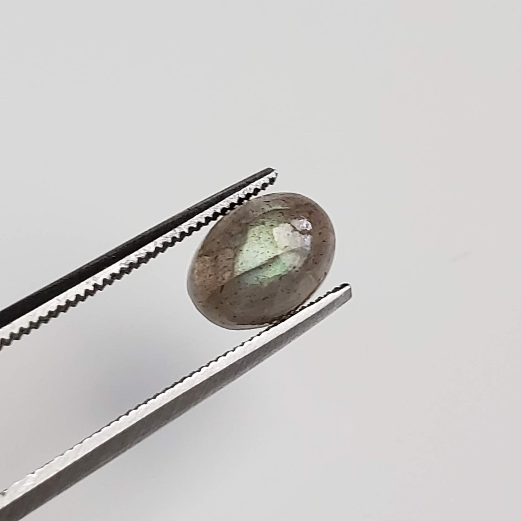  Labradorite | 5 Piece Lot | Oval Cabochon | Natural Gray Rainbow | 6.3tcw 3