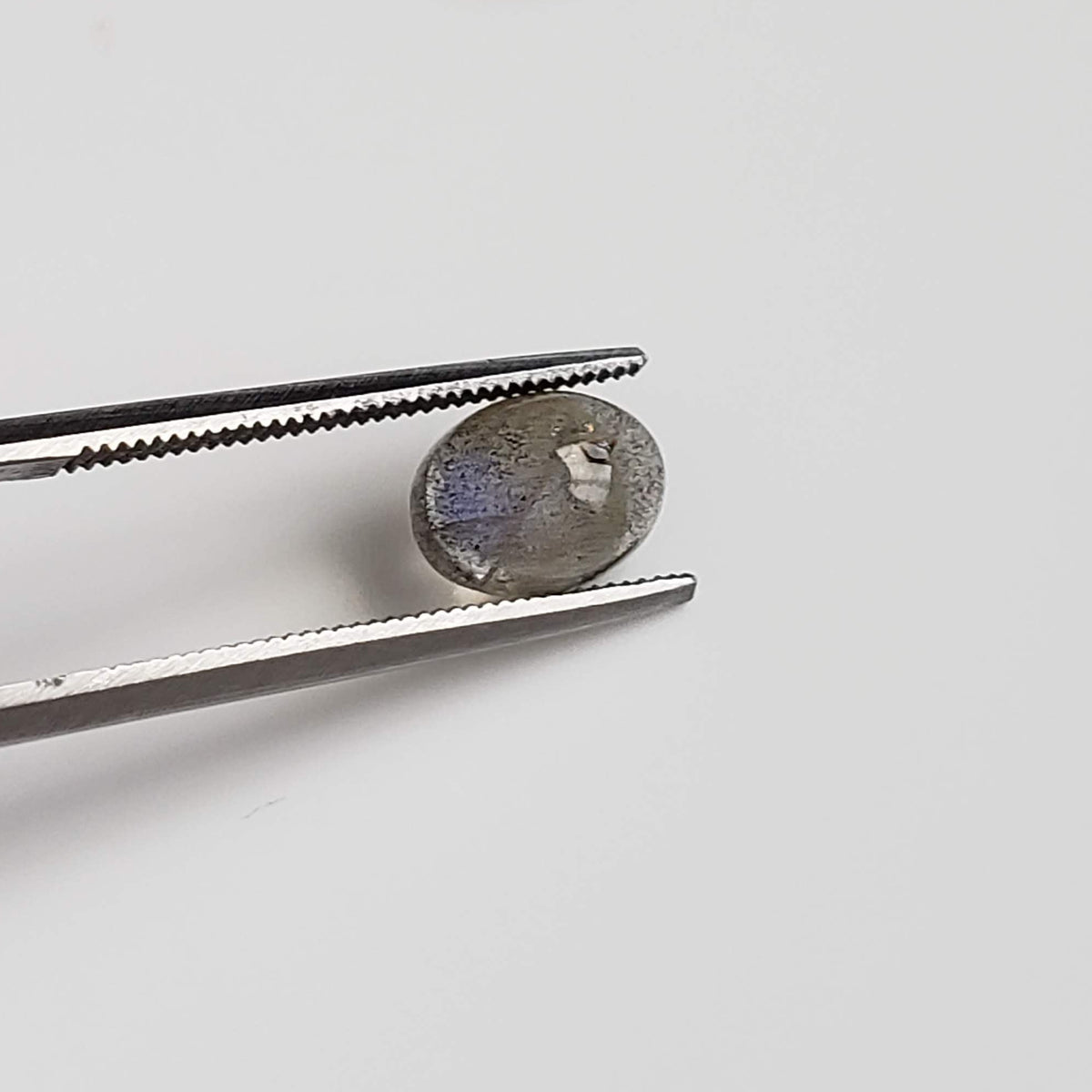  Labradorite | 5 Piece Lot | Oval Cabochon | Natural Gray Rainbow | 6.3tcw 7