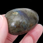  Labradorite Egg | Natural Gray Rainbow | 88.59 Gr | Madagascar 8