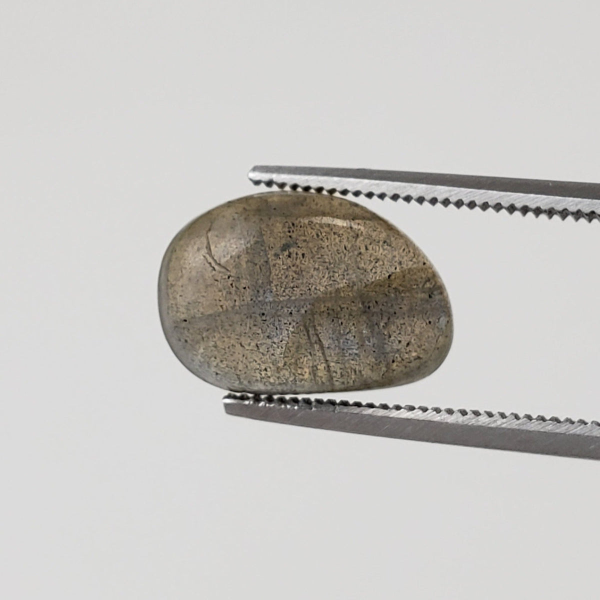  Labradorite | Freeform Cabochon | Natural Gray Rainbow | 12.3x8.3mm 4.0ct 5