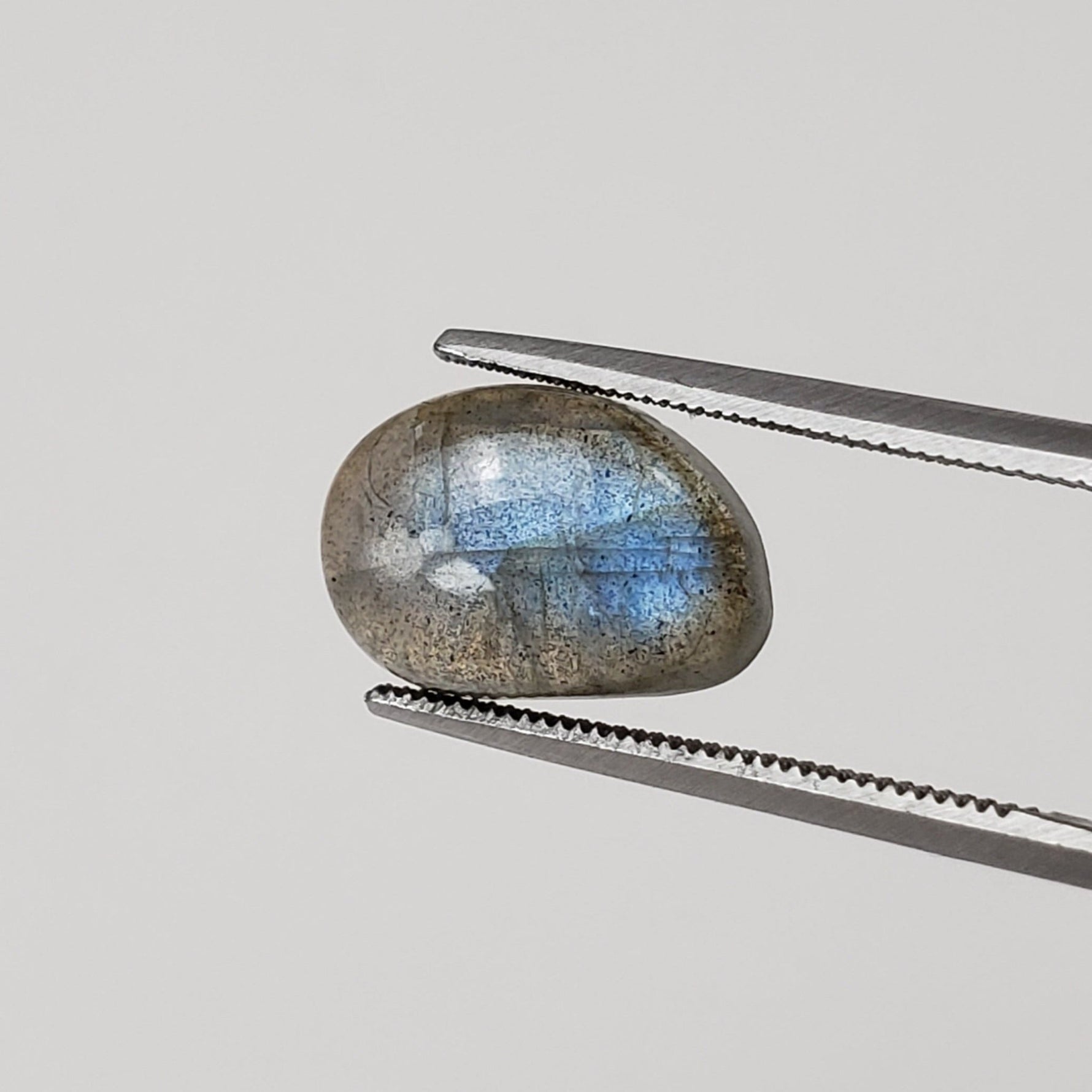  Labradorite | Freeform Cabochon | Natural Gray Rainbow | 12.3x8.3mm 4.0ct 7