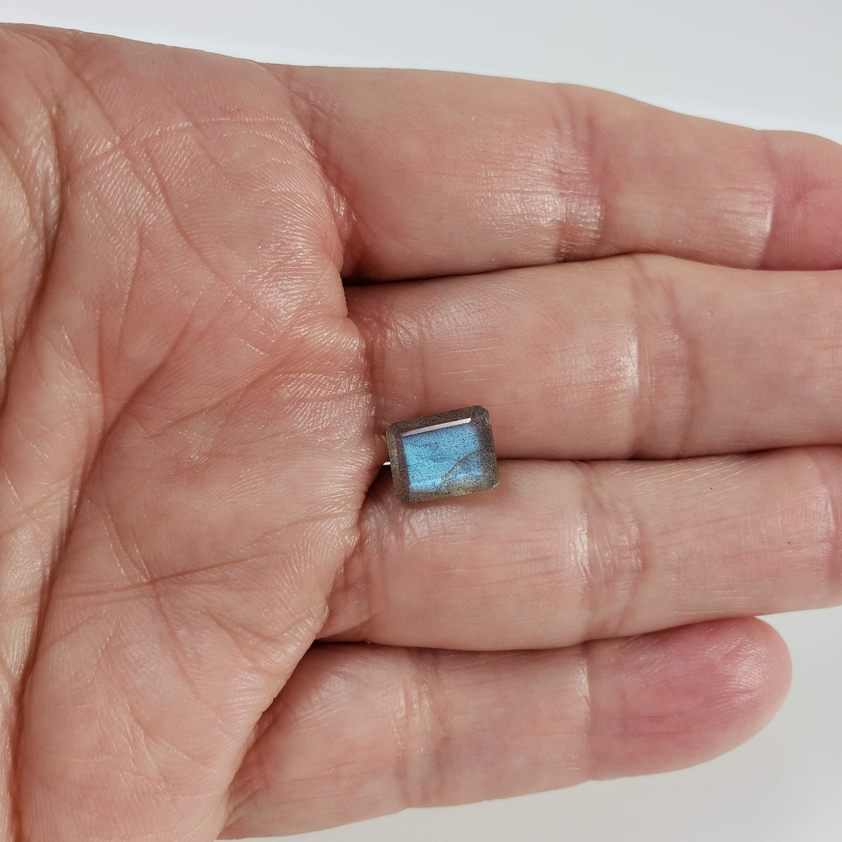  Labradorite | Octagon Cut | Natural Gray Rainbow | 10x8mm 5