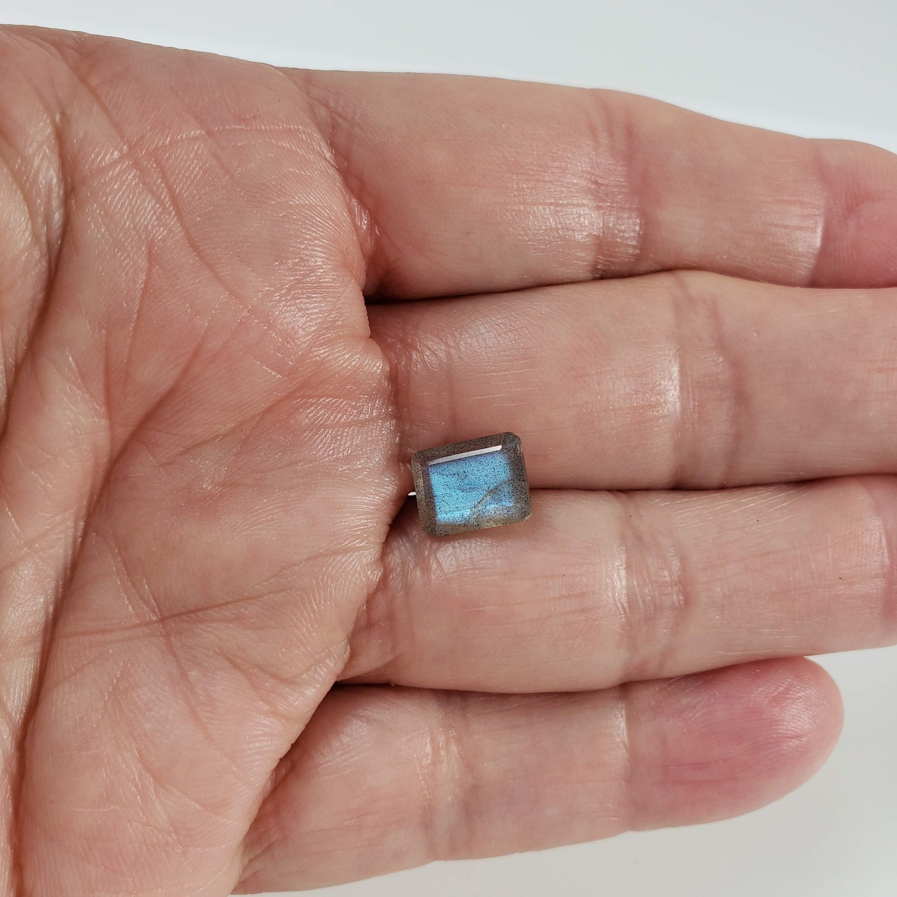  Labradorite | Octagon Cut | Natural Gray Rainbow | 10x8mm 5