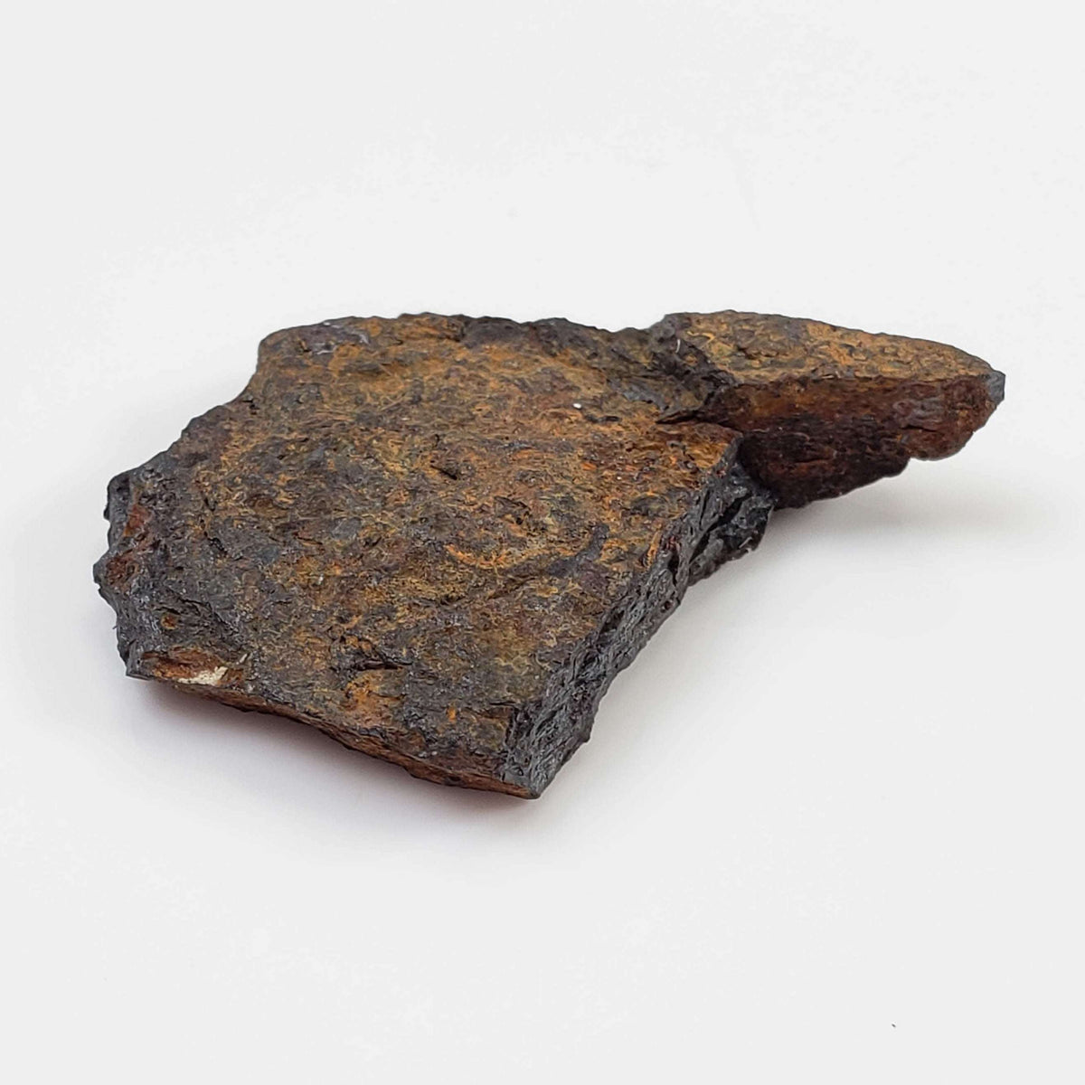 Lake Murray Meteorite | 5.5 Grams | Fragment | Iron Shale IIAB | Oklahoma, USA