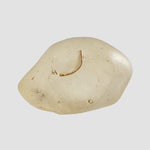  Libyan Desert Glass | Natural Impact Glass | 15 Grams | Authentic Impactite 6