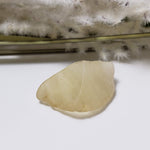  Libyan Desert Glass | Natural Impact Glass | 5 Grams | Authentic Impactite | SO24 4