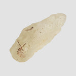  Libyan Desert Glass | Natural Impact Glass | 50.9 Grams | Authentic Impactite 4