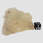  Libyan Desert Glass | Natural Impact Glass | 59 Grams | Authentic Impactite 