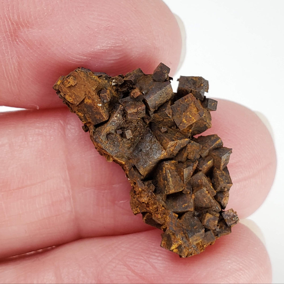  Limonite after Pyrite Pseudomorph | 3.09 gr | Carratraca, Spain 5