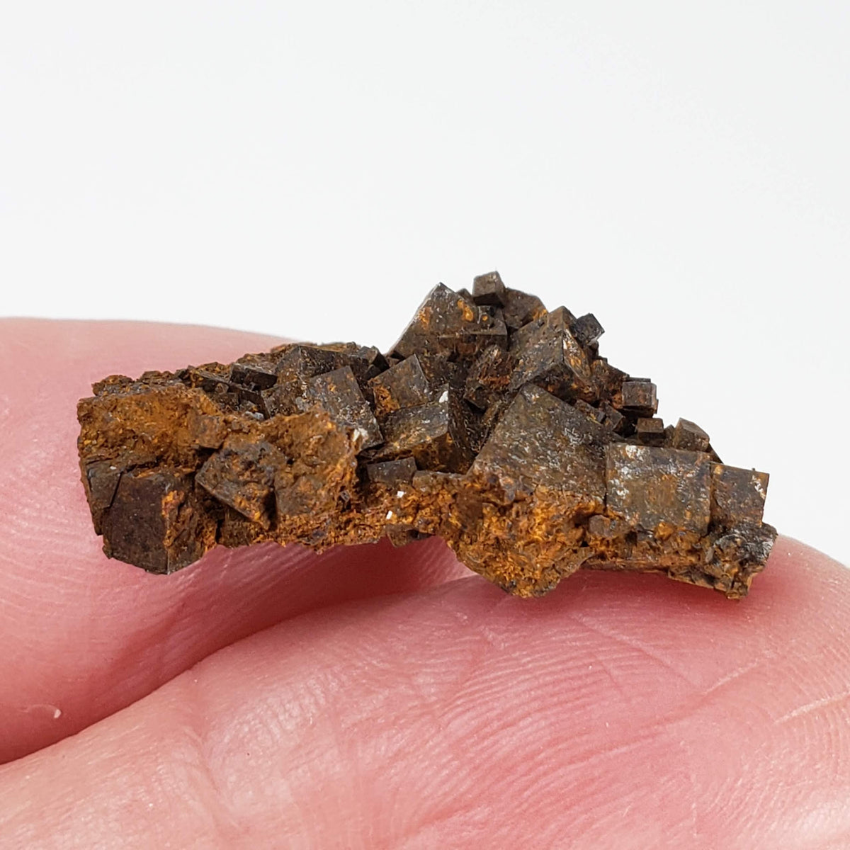  Limonite after Pyrite Pseudomorph | 3.09 gr | Carratraca, Spain 7