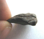  Meteorite Awesome Rare Boxhole Individual 8.80 Gr Australia | SO24 2