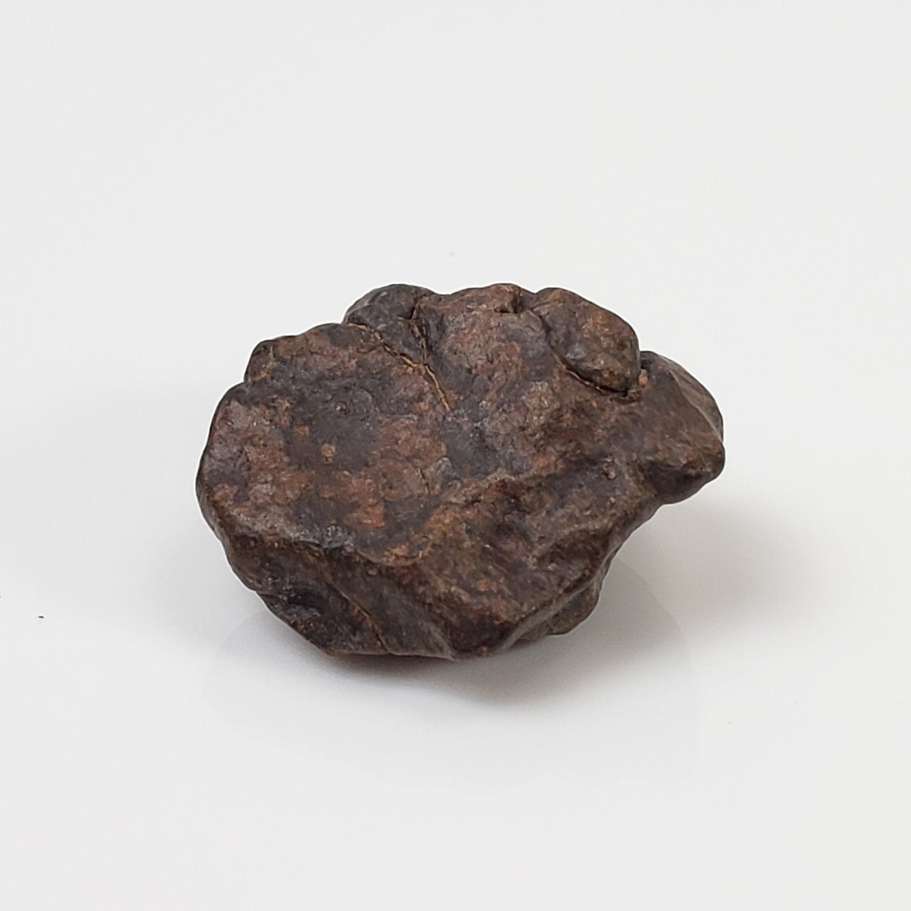  Meteorite-in-a-Box  Mini World Collection Trio | Nantan, NWA 4293 and Vaca Muerta 4