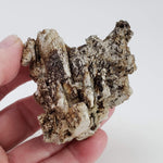  Microcline Crystal | 92.25 grams | Large Specimen | Poudrette Quarry, Mont-Saint-Hilaire, Canada 5