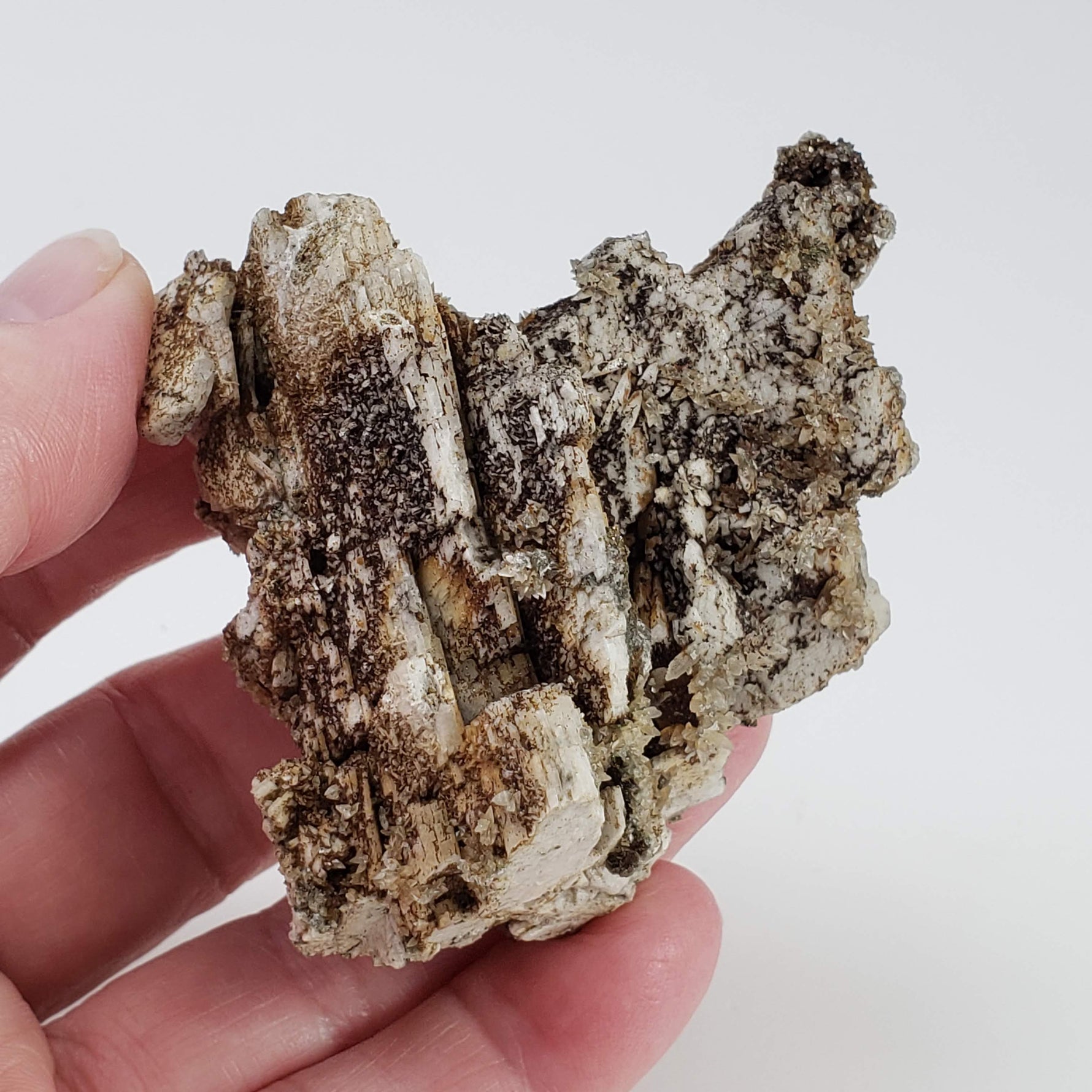  Microcline Crystal | 92.25 grams | Large Specimen | Poudrette Quarry, Mont-Saint-Hilaire, Canada 5