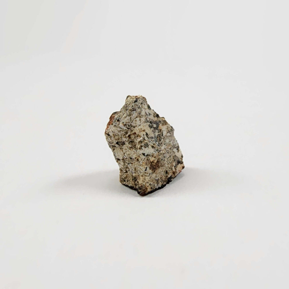  Millbillillie Meteorite | 0.26 Gr Fragment | AEUC-M Premium | Australia | SO24 6