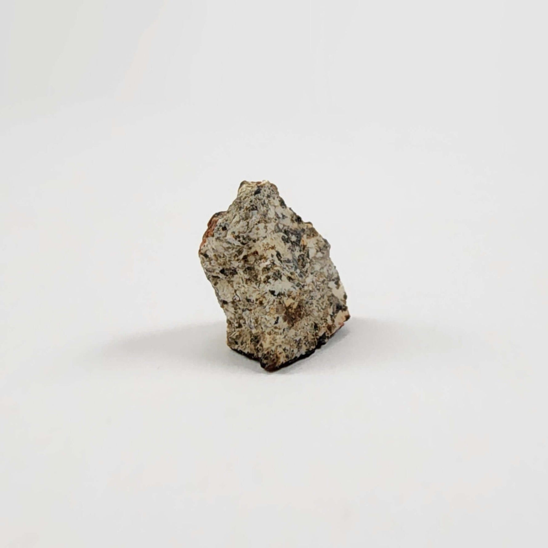  Millbillillie Meteorite | 0.26 Gr Fragment | AEUC-M Premium | Australia | SO24 6