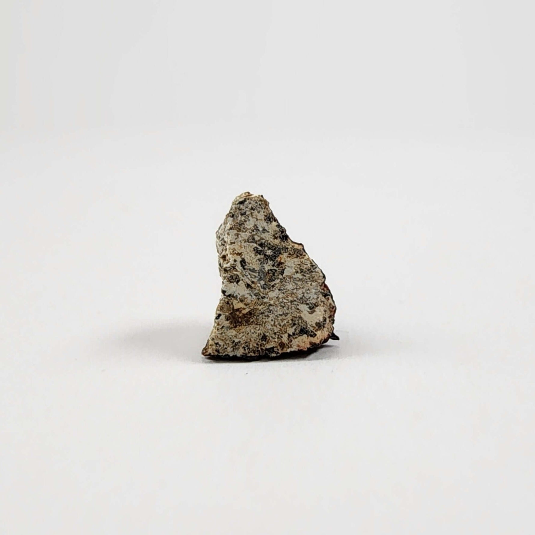  Millbillillie Meteorite | 0.26 Gr Fragment | AEUC-M Premium | Australia | SO24 7