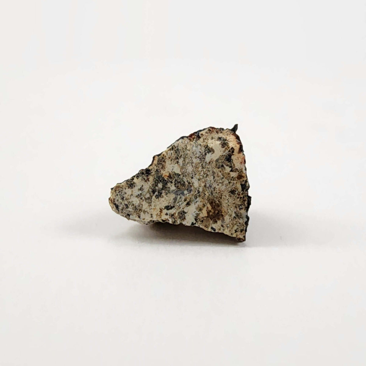  Millbillillie Meteorite | 0.26 Gr Fragment | AEUC-M Premium | Australia | SO24 3