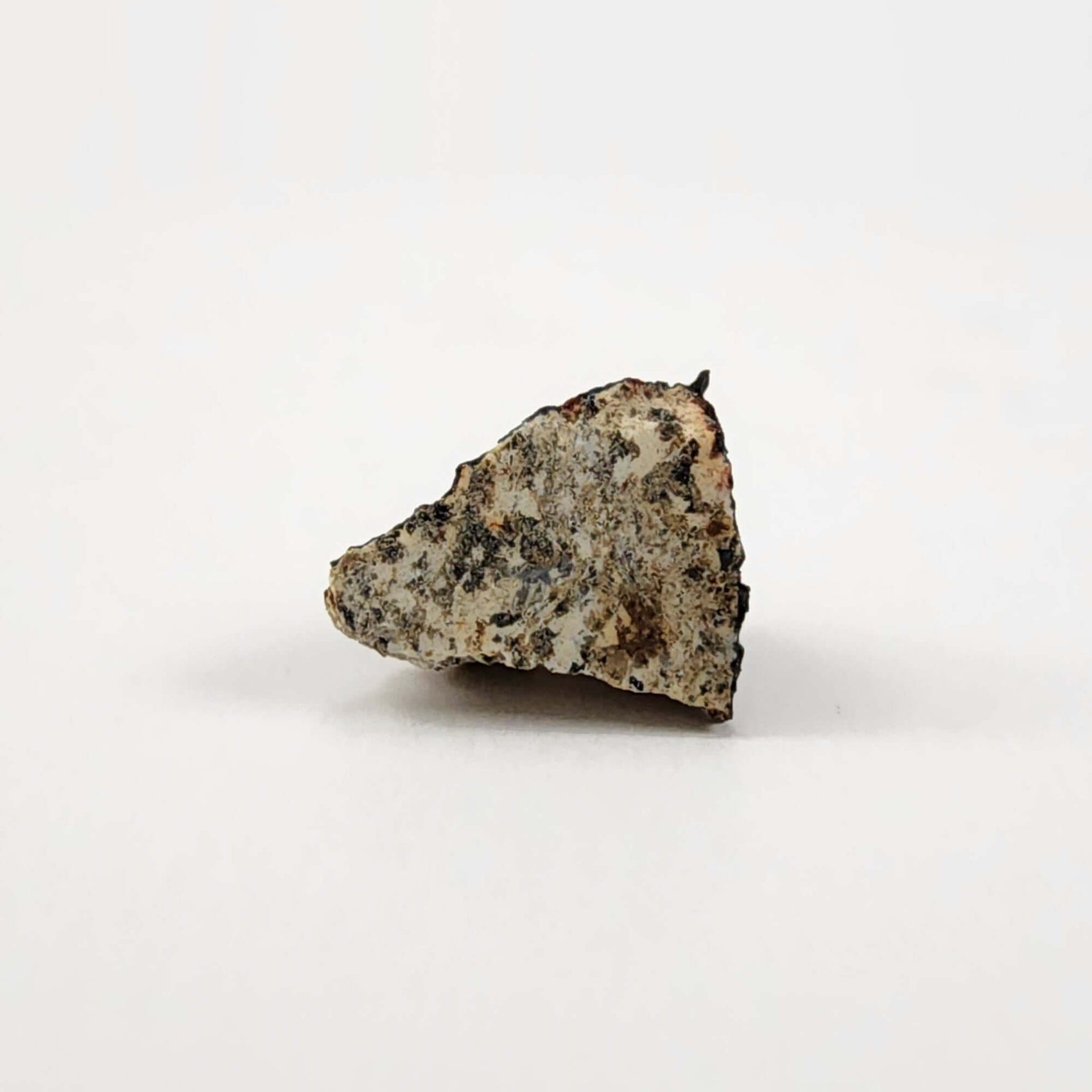  Millbillillie Meteorite | 0.26 Gr Fragment | AEUC-M Premium | Australia | SO24 3