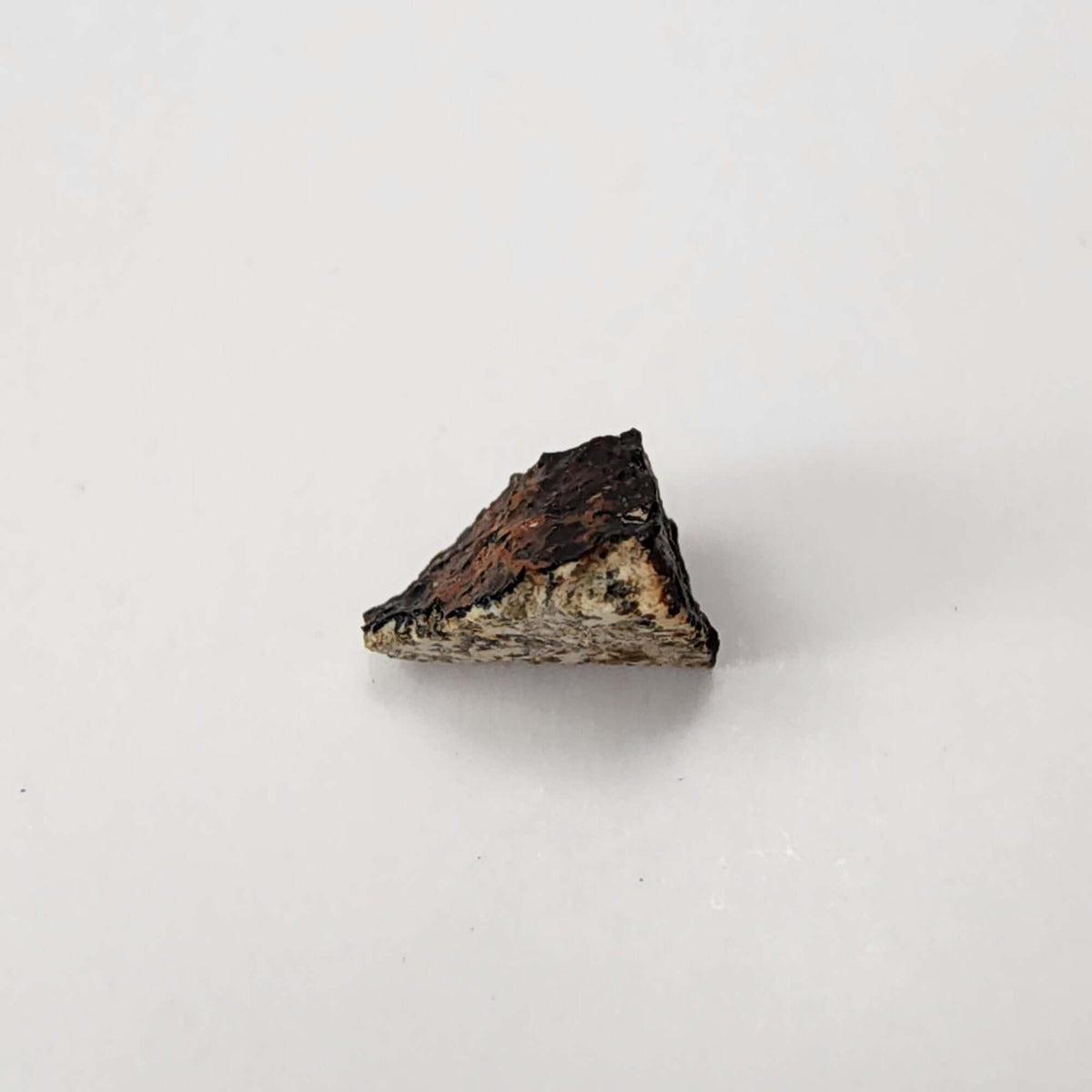  Millbillillie Meteorite | 0.26 Gr Fragment | AEUC-M Premium | Australia | SO24 8