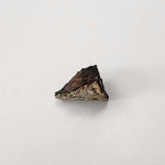  Millbillillie Meteorite | 0.26 Gr Fragment | AEUC-M Premium | Australia | SO24 8