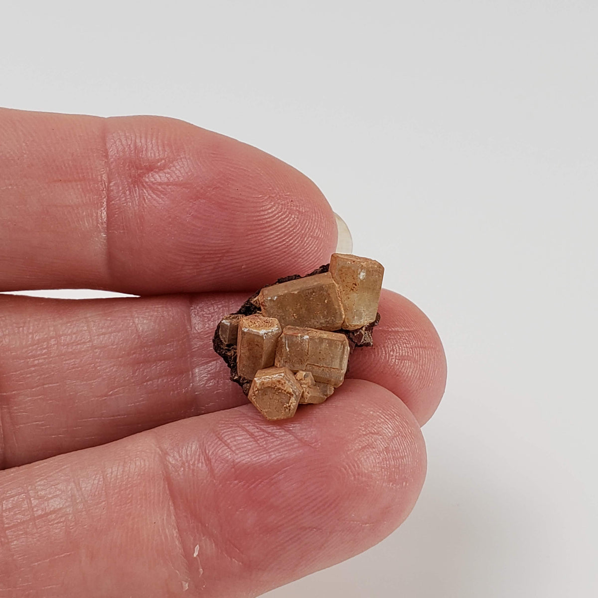  Mimetite Crystal  | Display Perky Box | Rare Specimen | Mount Bonnie Mine, NT Australia 5