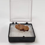  Mimetite Crystal  | Display Perky Box | Rare Specimen | Mount Bonnie Mine, NT Australia 7