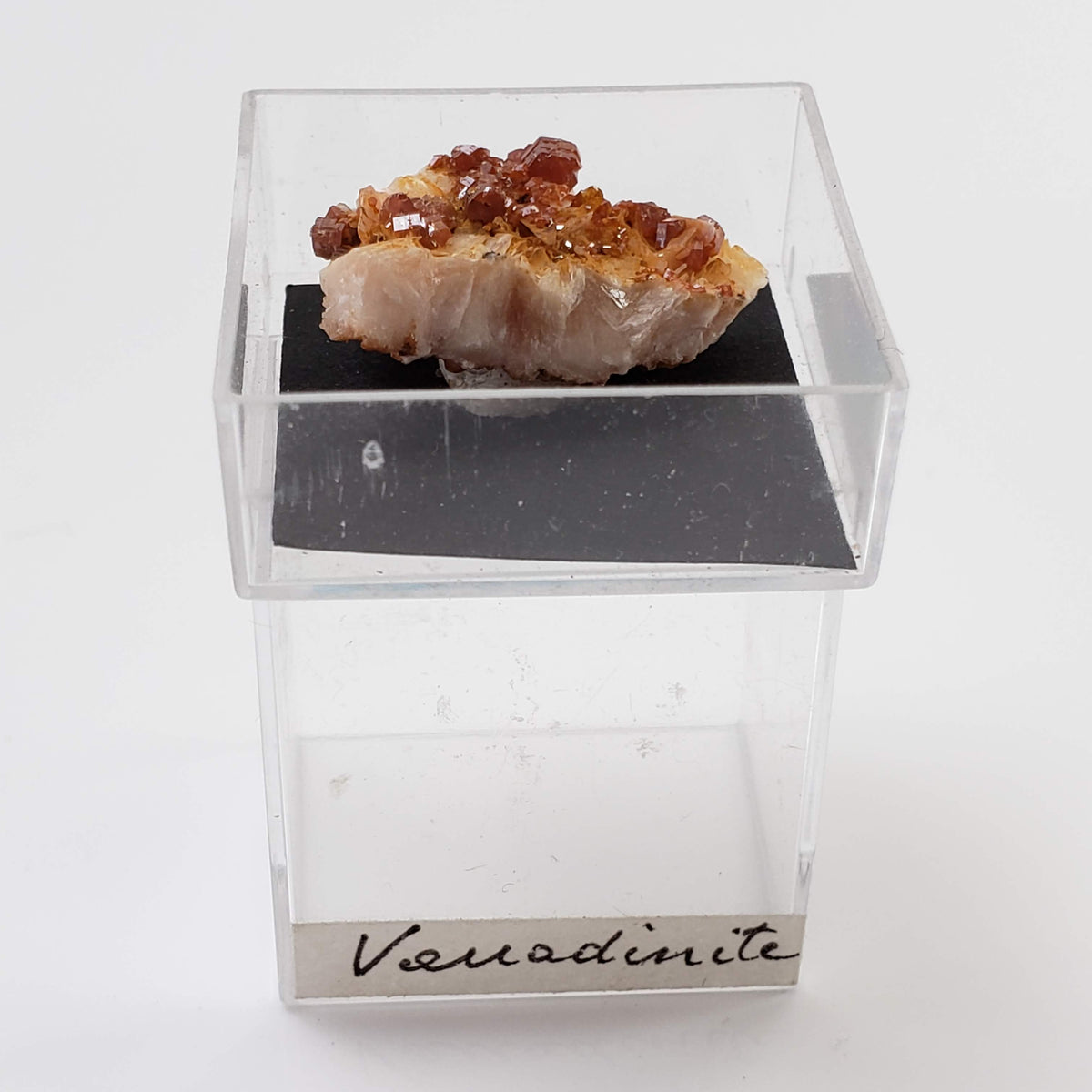  Mineral World Series Crystal Collection | Lot of 4 | Protective Display Box | Rare Premium Specimens 3