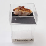  Mineral World Series Crystal Collection | Lot of 4 | Protective Display Box | Rare Premium Specimens 3