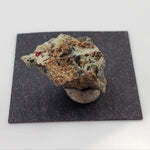  Mineral World Series Crystal Collection | Lot of 4 | Protective Display Box | Rare Premium Specimens 2
