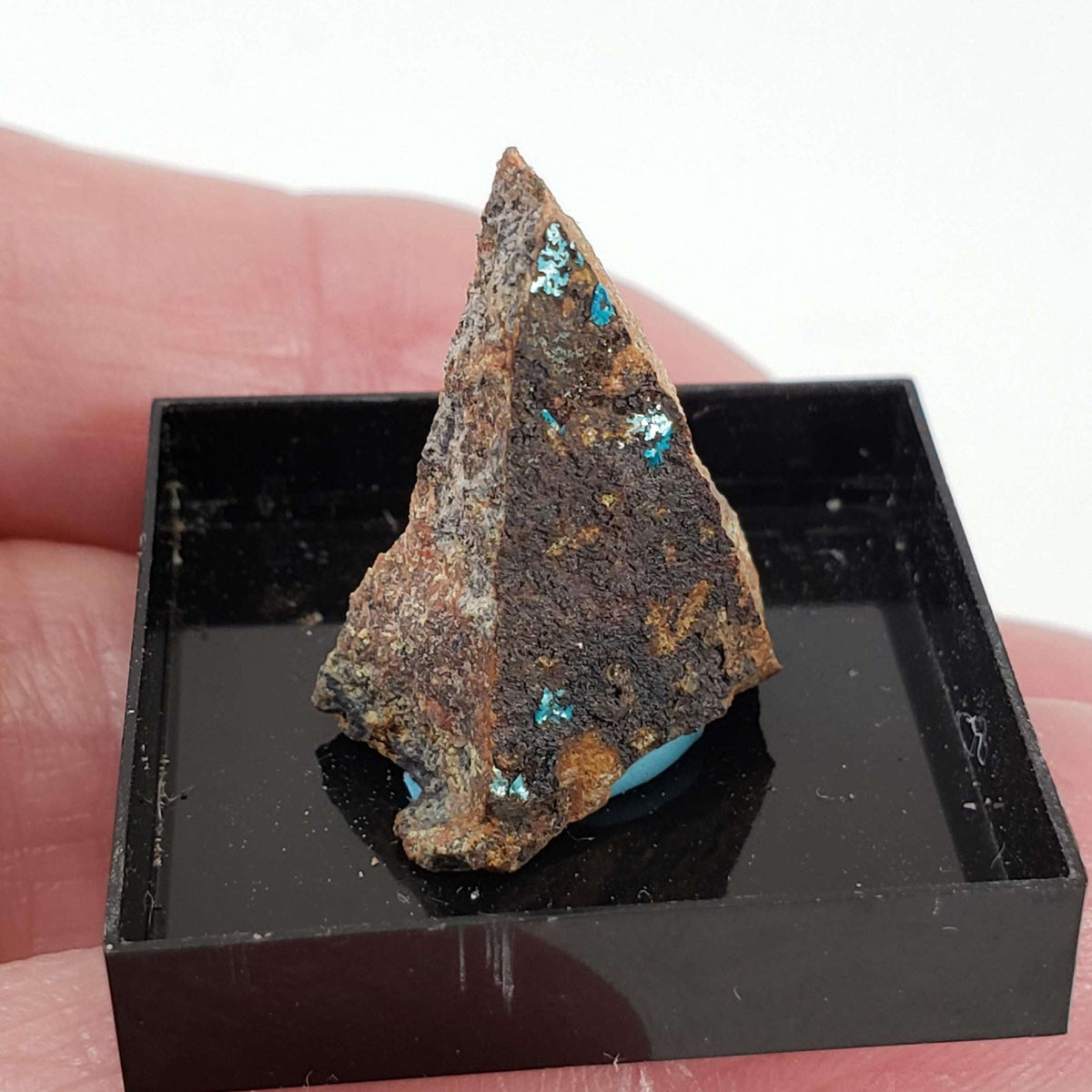  Mineral World Series Crystal Collection | Lot of 4 | Protective Display Box | Rare Premium Specimens 6