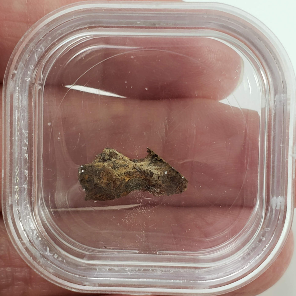  Molong Meteorite | 1.24 Grams | Fragment | Pallasite Stony Iron | Rare | Australia 5