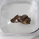  Molong Meteorite | 1.24 Grams | Fragment | Pallasite Stony Iron | Rare | Australia 1