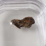  Molong Meteorite | 1.24 Grams | Fragment | Pallasite Stony Iron | Rare | Australia 2