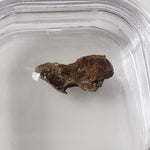  Molong Meteorite | 1.24 Grams | Fragment | Pallasite Stony Iron | Rare | Australia 2