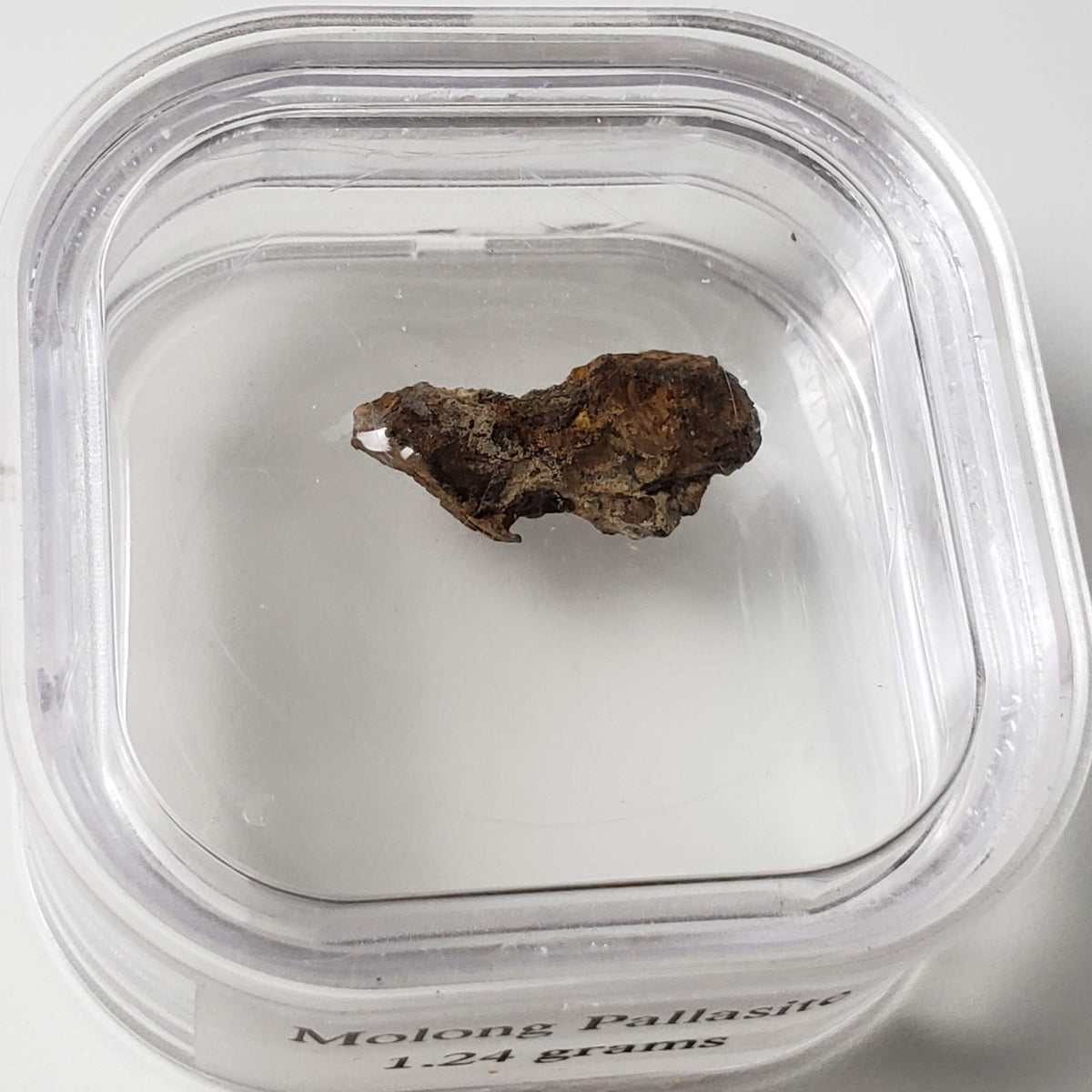  Molong Meteorite | 1.24 Grams | Fragment | Pallasite Stony Iron | Rare | Australia 