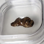  Molong Meteorite | 1.24 Grams | Fragment | Pallasite Stony Iron | Rare | Australia 3