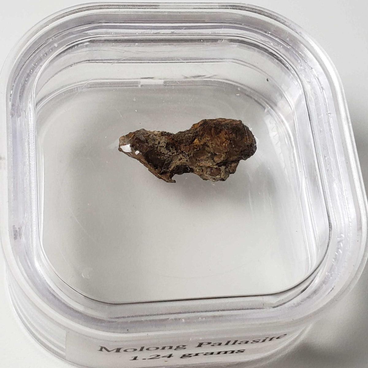  Molong Meteorite | 1.24 Grams | Fragment | Pallasite Stony Iron | Rare | Australia 