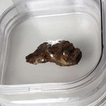  Molong Meteorite | 1.24 Grams | Fragment | Pallasite Stony Iron | Rare | Australia 3