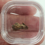  Molong Meteorite | 1.24 Grams | Fragment | Pallasite Stony Iron | Rare | Australia 5