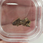  Molong Meteorite | 1.24 Grams | Fragment | Pallasite Stony Iron | Rare | Australia 6