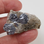  Molybdenite Crystals | 21.4 grams | Moly Hill, Québec, Canada 3