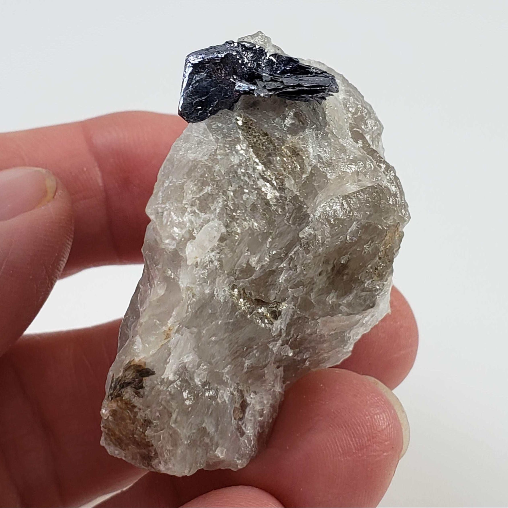 Molybdenite Crystals | 51.4 grams | Moly Hill, Québec, Canada