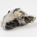 Muscovite var. Ball Peen Mica | Perky Box Specimen | Rare | Branchville, Connecticut 5
