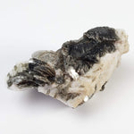Muscovite var. Ball Peen Mica | Perky Box Specimen | Rare | Branchville, Connecticut 6