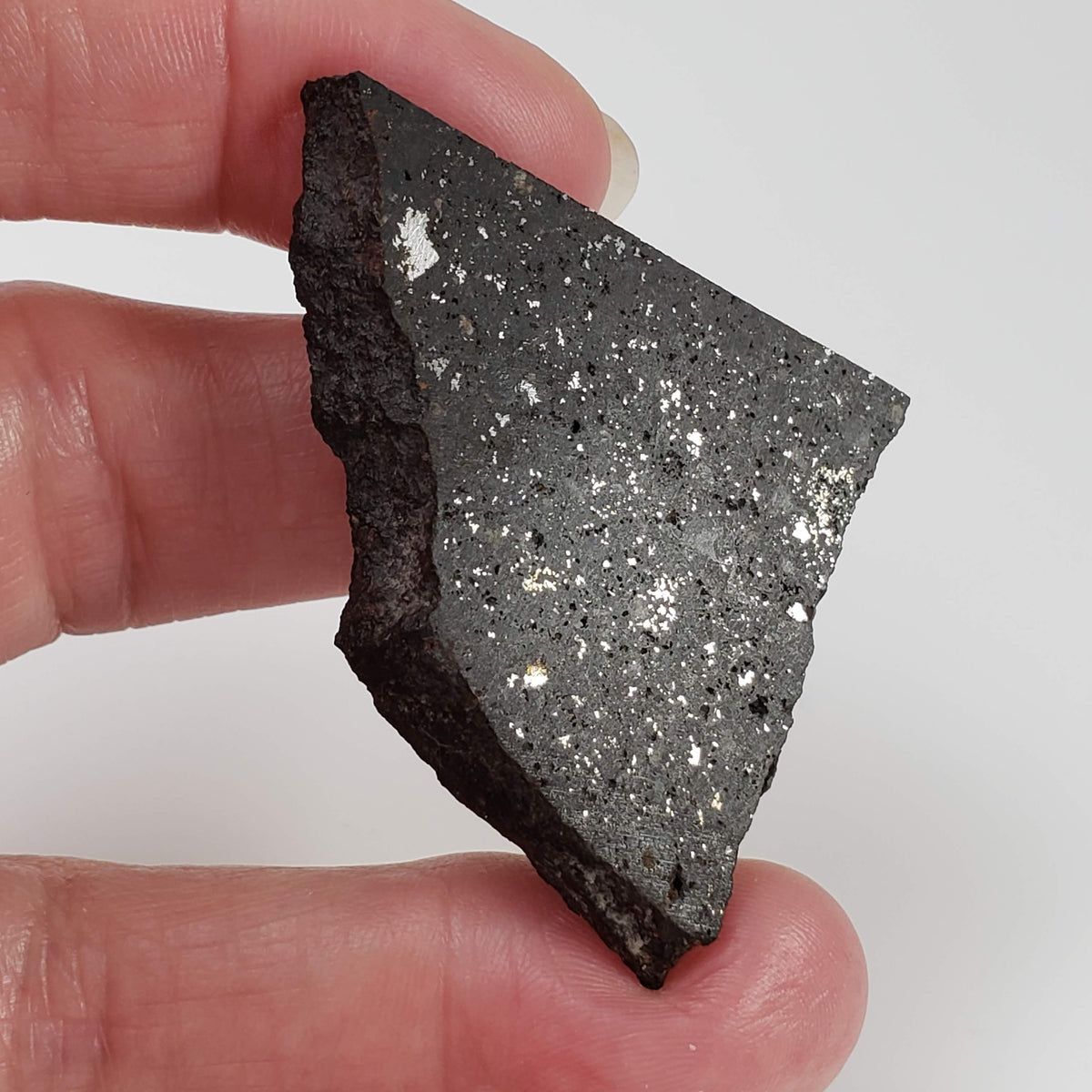  NWA 091 Meteorite | 17.96 Gr | Part Slice | L6 Chondrite | Low TKW | Sahara 5