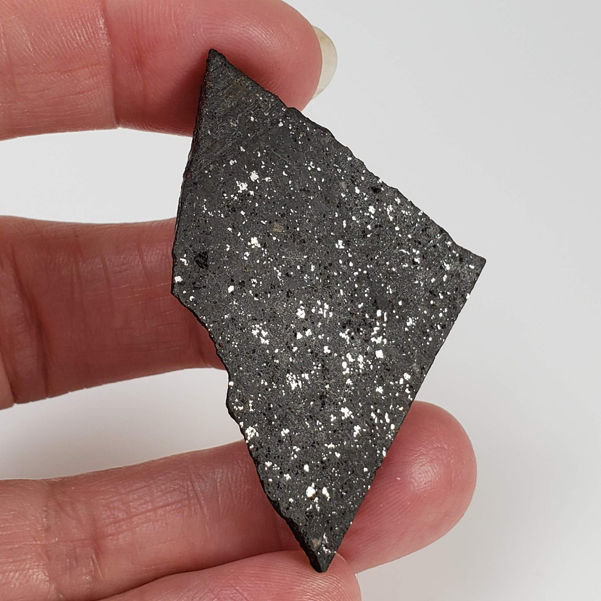  NWA 091 Meteorite | 17.96 Gr | Part Slice | L6 Chondrite | Low TKW | Sahara 6