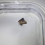  NWA 1459 Meteorite | 44 mg | Fragment | Olivine Diogenite | The Worlds Rarest Class | Low TKW 4